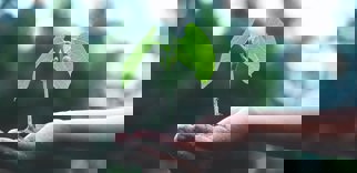 World Environment Day 2023