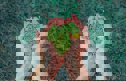 World Environment Day 2023