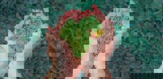 How to be a more environmentally conscious contractor