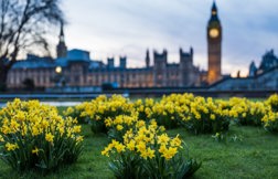 Off-Payroll Working Legislation