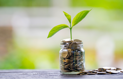 Making Pension Contributions